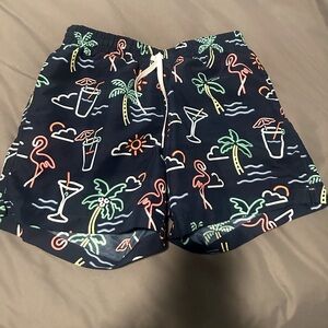 Men’s Chubbies Swim Trunks